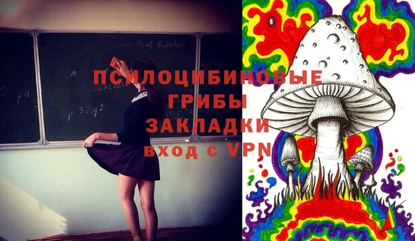 хмурый Балабаново