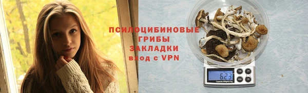 хмурый Балабаново